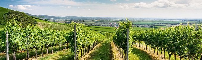 Österreich