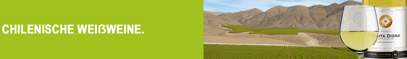 Chilenischer Weißwein | Vino blanco Chilenischer Weißwein | Vino blanco