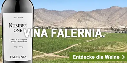 Weine vom Weingut Falernia | Chile.