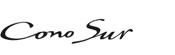 Vina Cono Sur