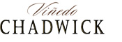 Vinedo Chadwick 