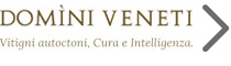 Domini Veneti