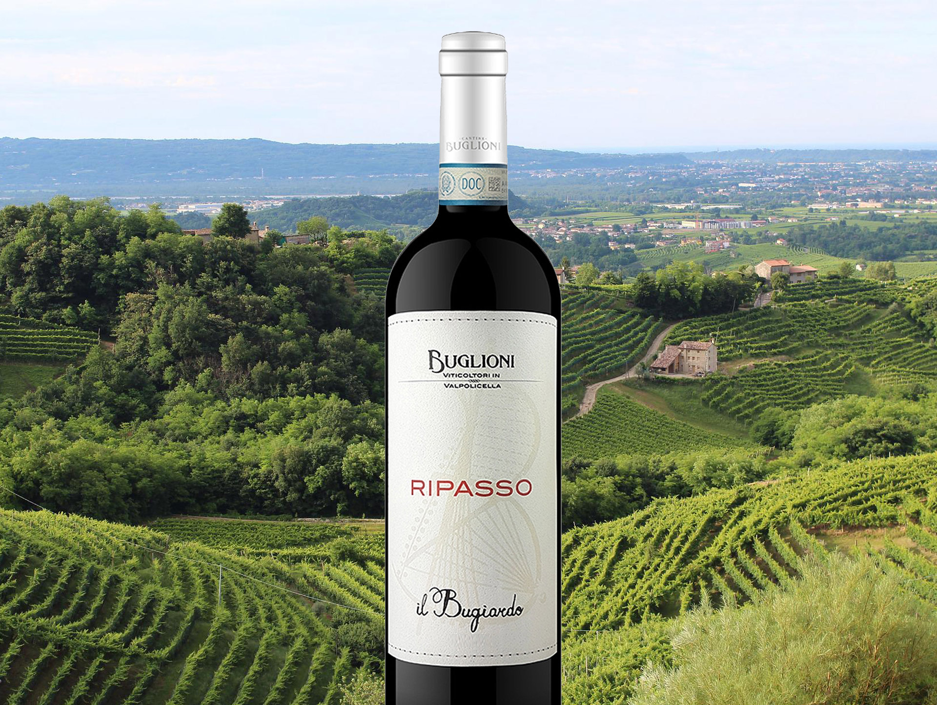 ripasso-rotwein-blog ripasso-rotwein-blog