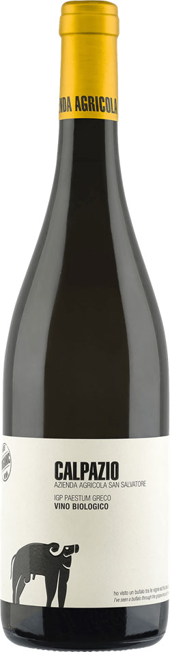 Calpazio Greco 2023