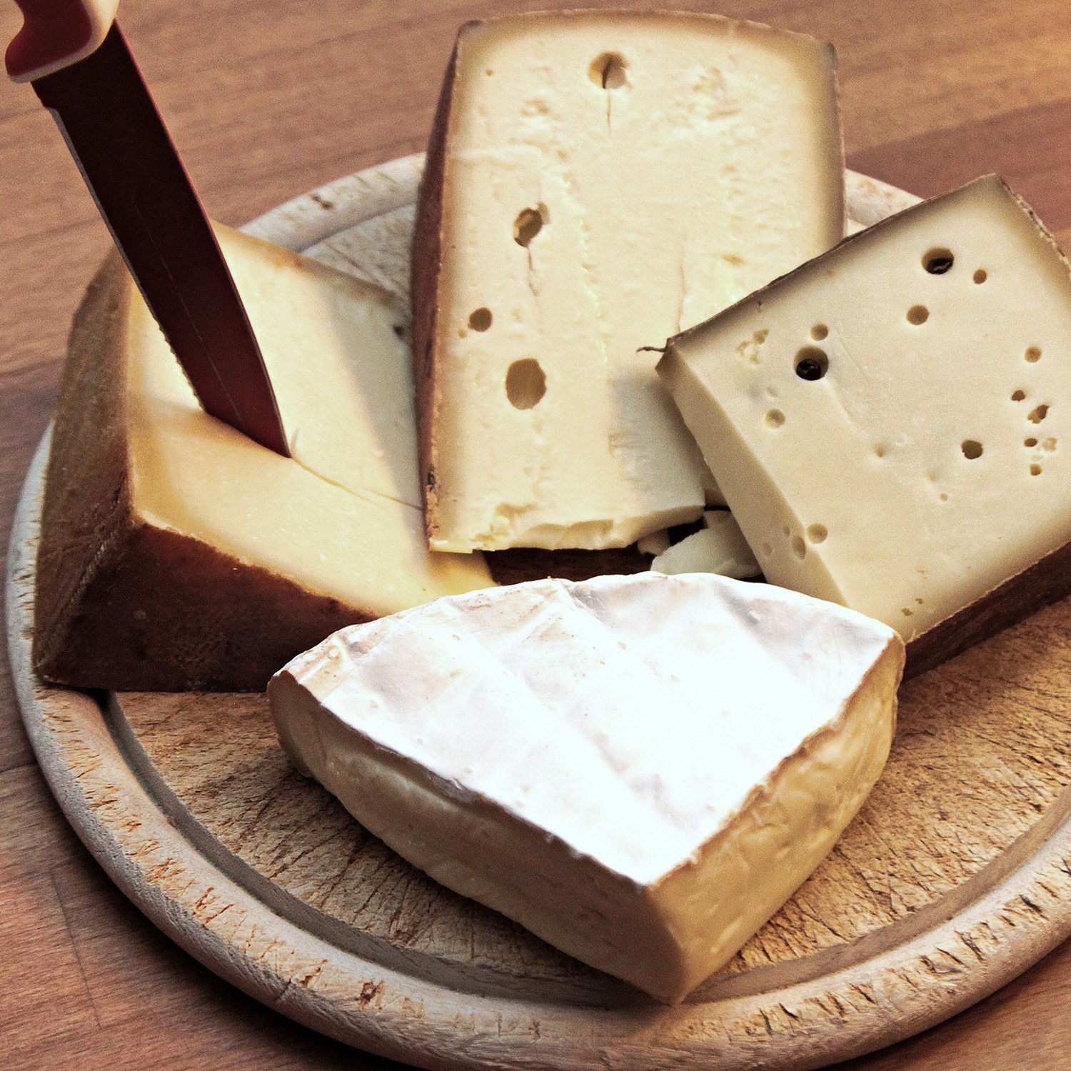 Käseteller als Weinbegleitung Käseteller als Weinbegleitung