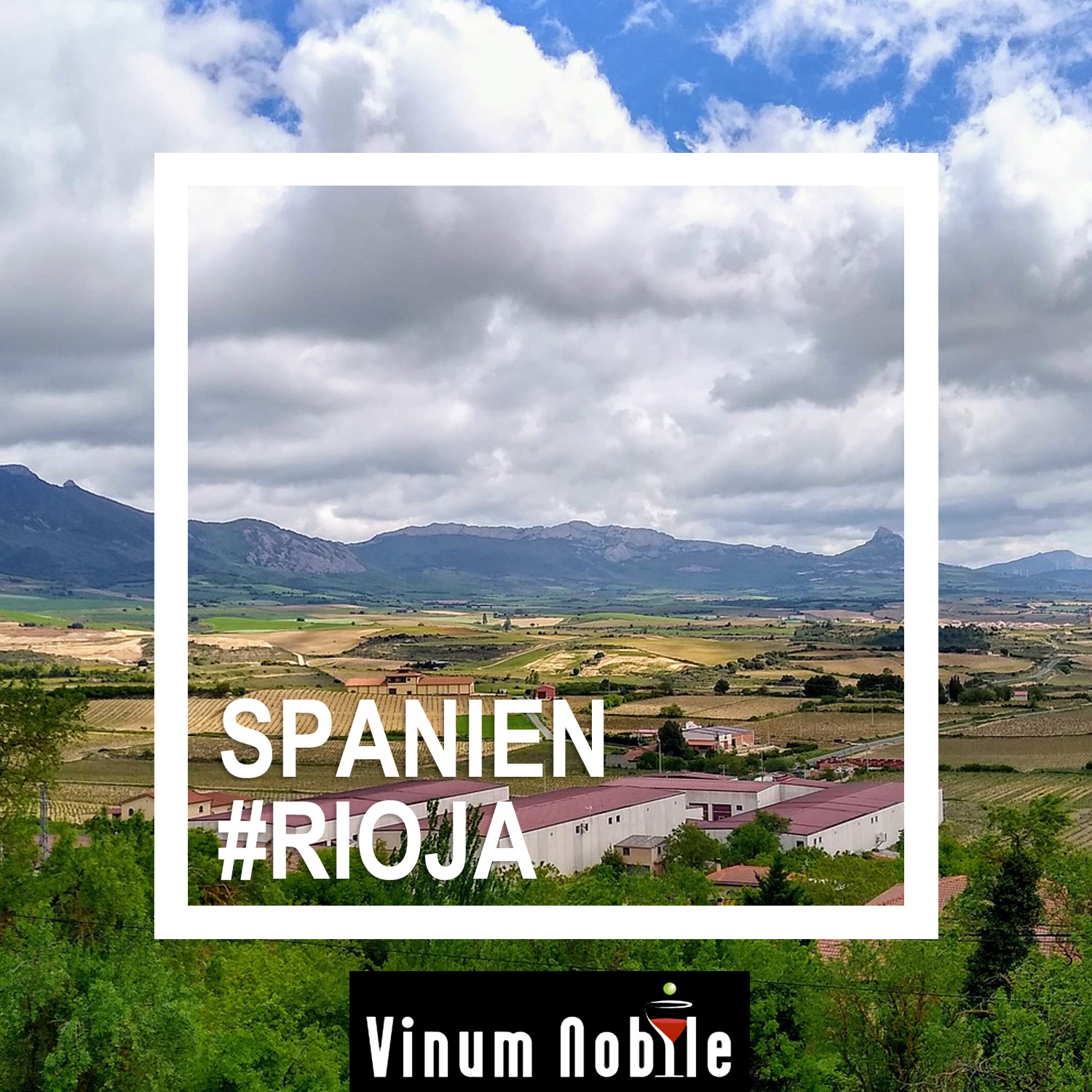 Rotwein aus Rioja Rotwein aus Rioja