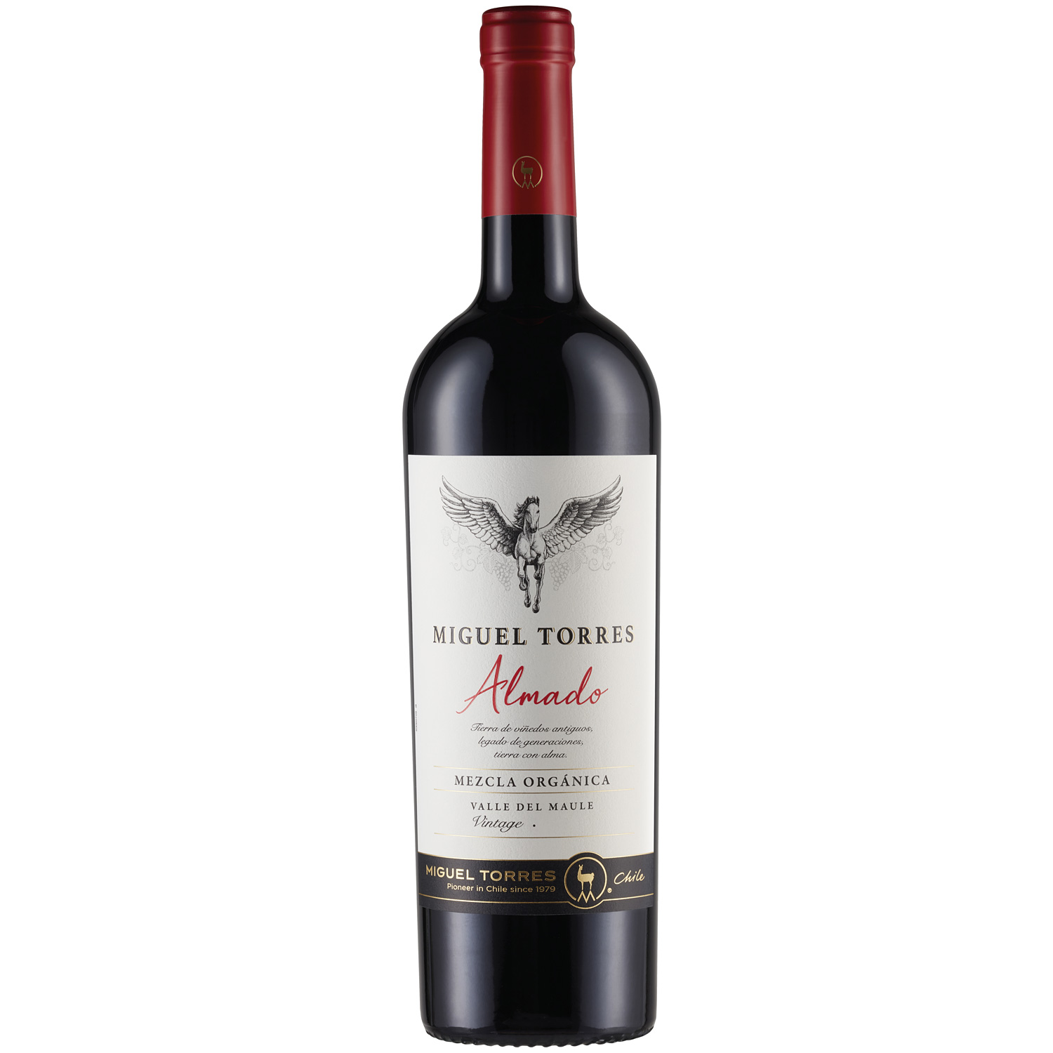 Miguel Torres Almado 2018 Miguel Torres Almado 2018