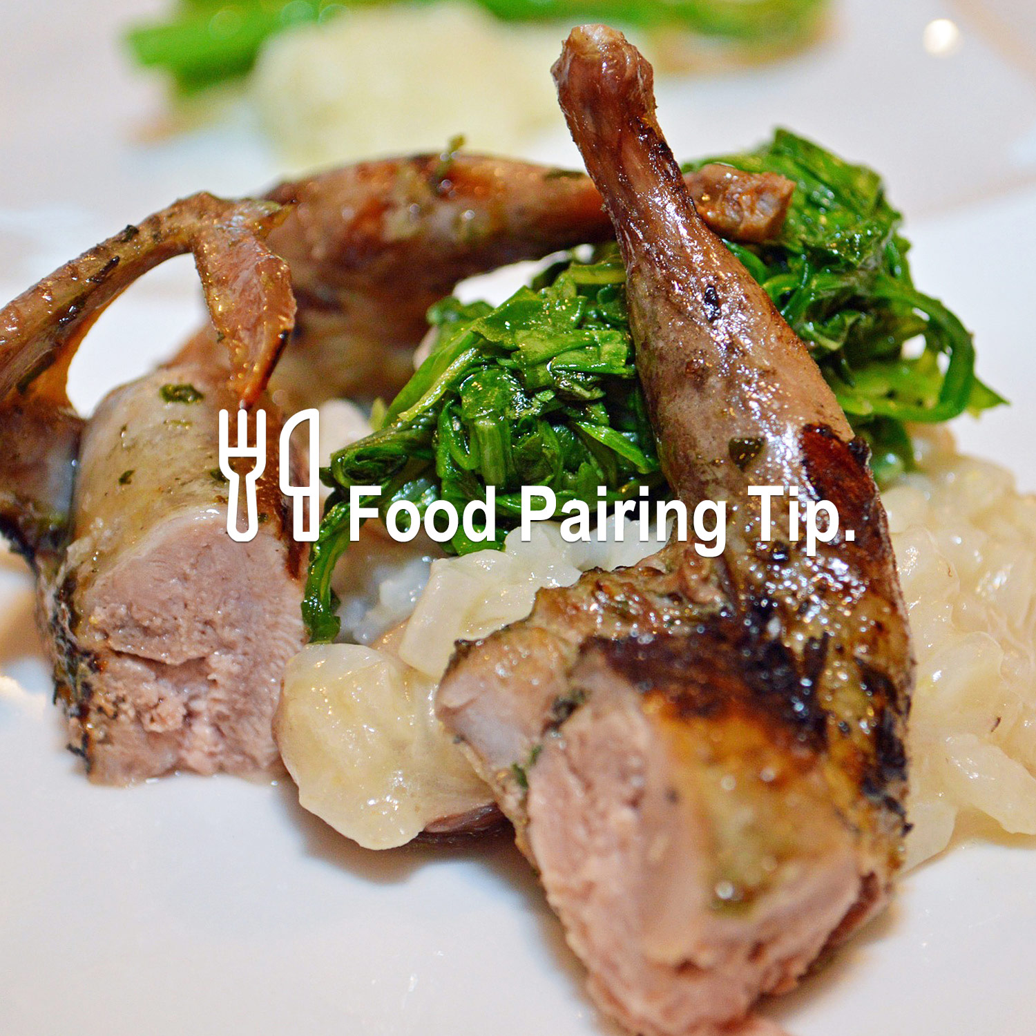 Passendes Essen zum köstlichen Wein Passendes Essen zum köstlichen Wein