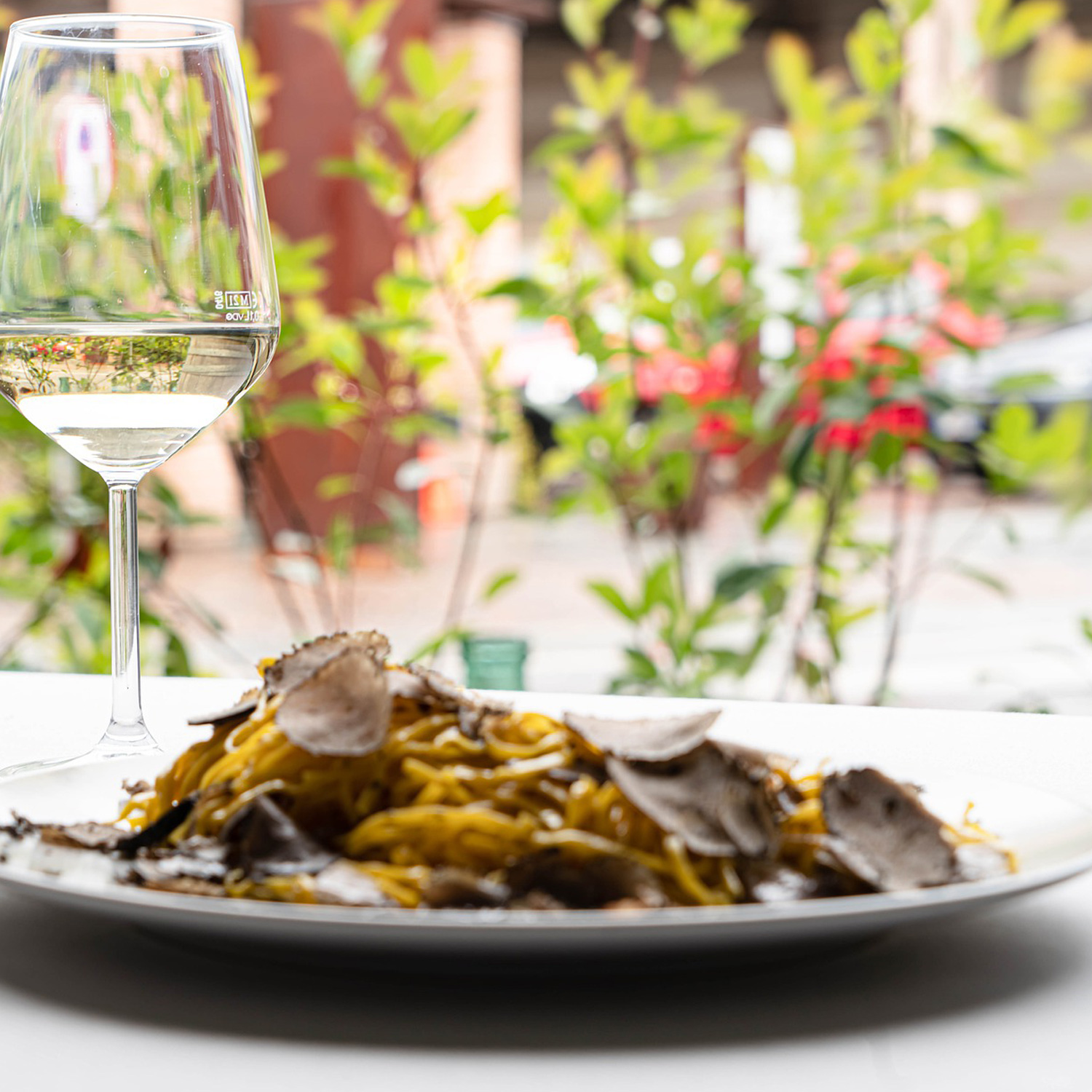 Passendes Essen zum köstlichen Wein Passendes Essen zum köstlichen Wein