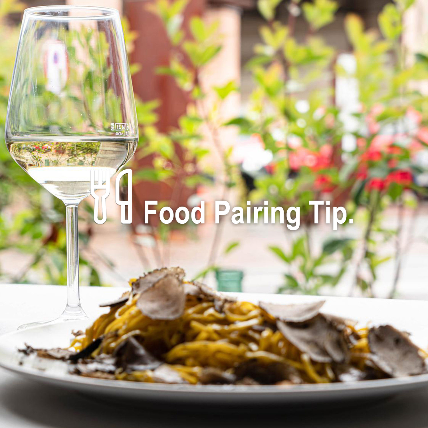 Passendes Essen zum köstlichen Wein Passendes Essen zum köstlichen Wein