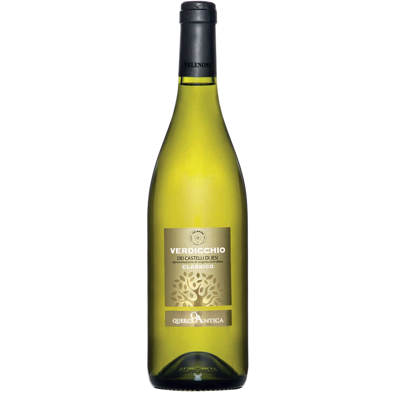 Verdicchio dei Castelli di Jesi Classico 2020 Verdicchio dei Castelli di Jesi Classico 2020