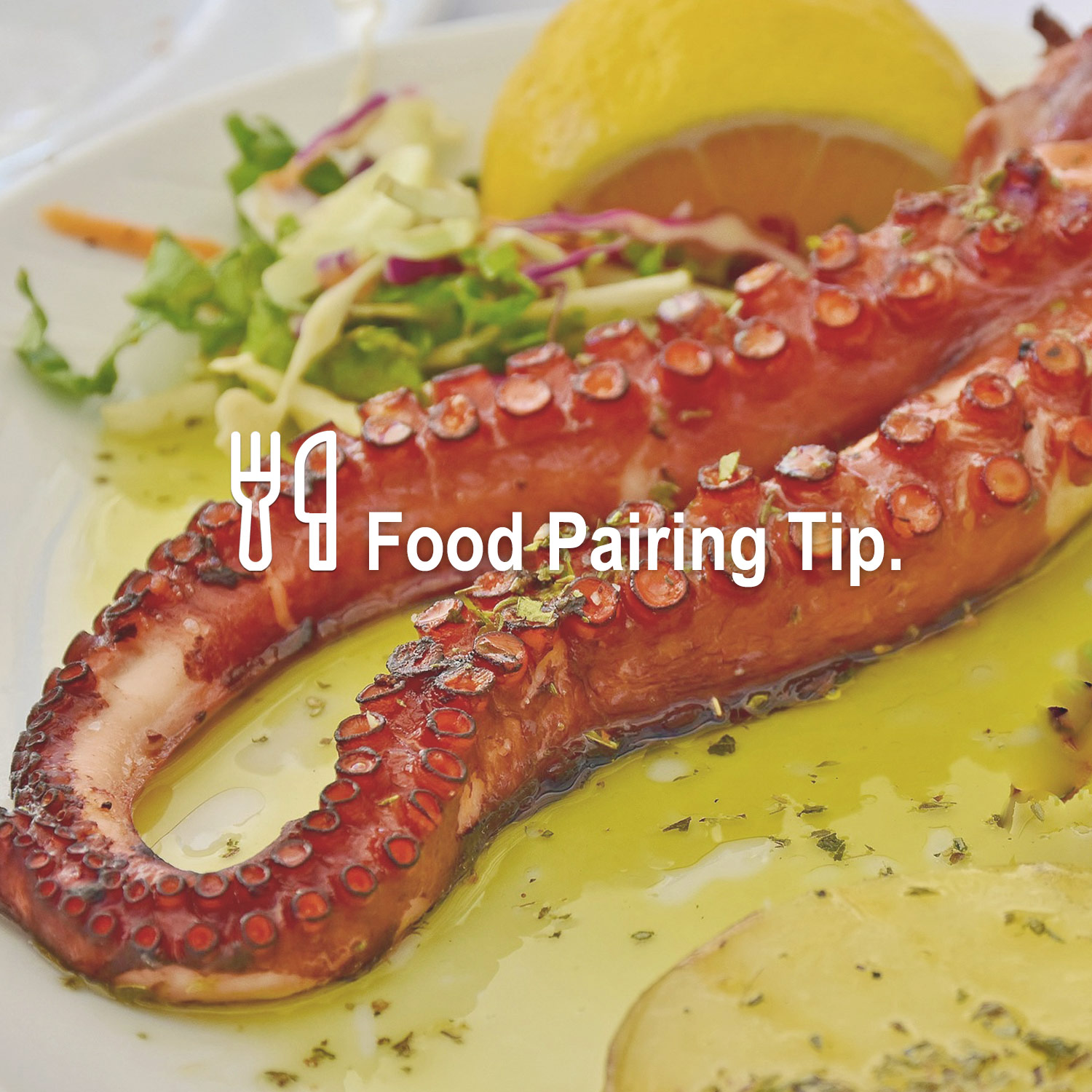 Passendes Essen zum wunderbaren Wein Passendes Essen zum wunderbaren Wein