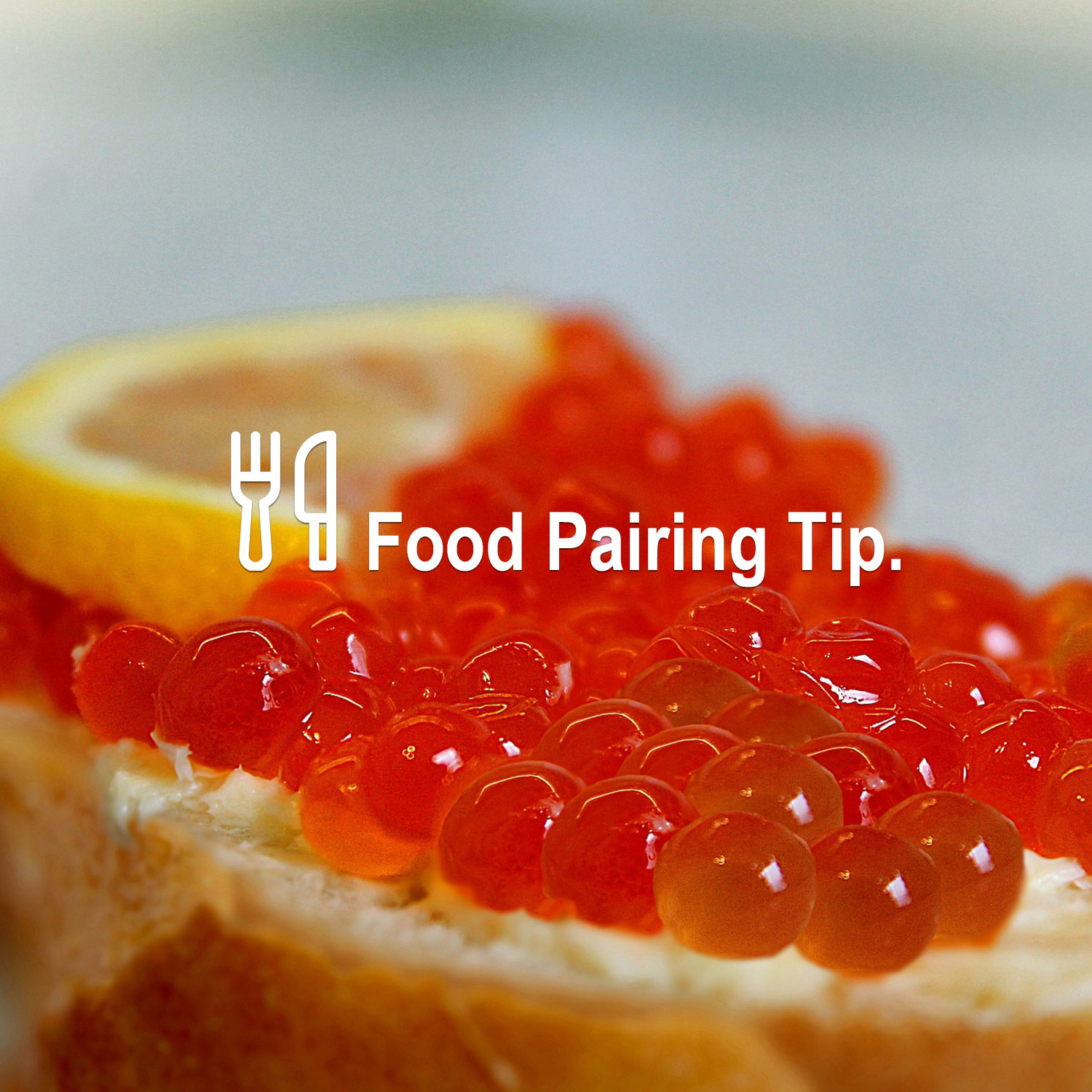 Passendes Essen zum wunderbaren Wein Passendes Essen zum wunderbaren Wein