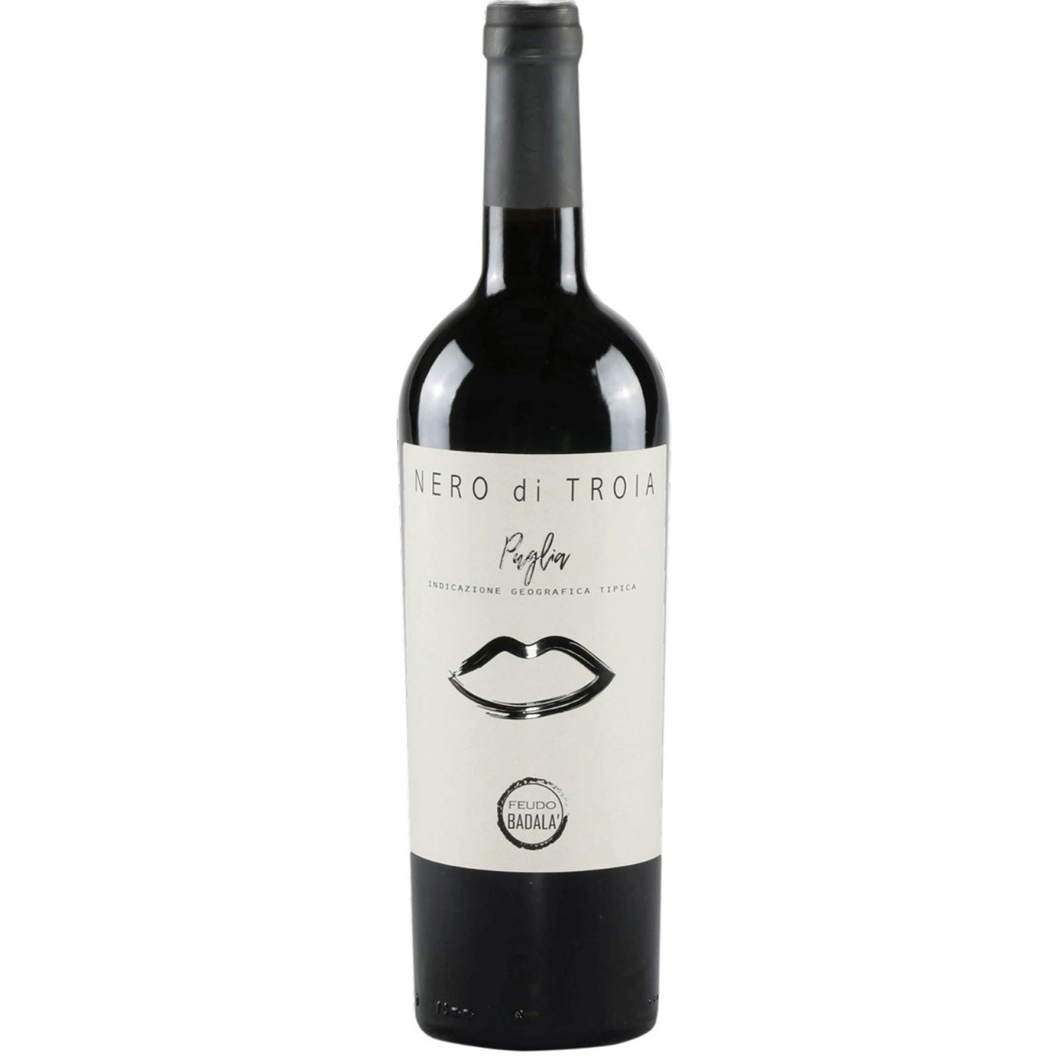 Italienischer Rotwein Nero di Troia Puglia 2018 Italienischer Rotwein Nero di Troia Puglia 2018