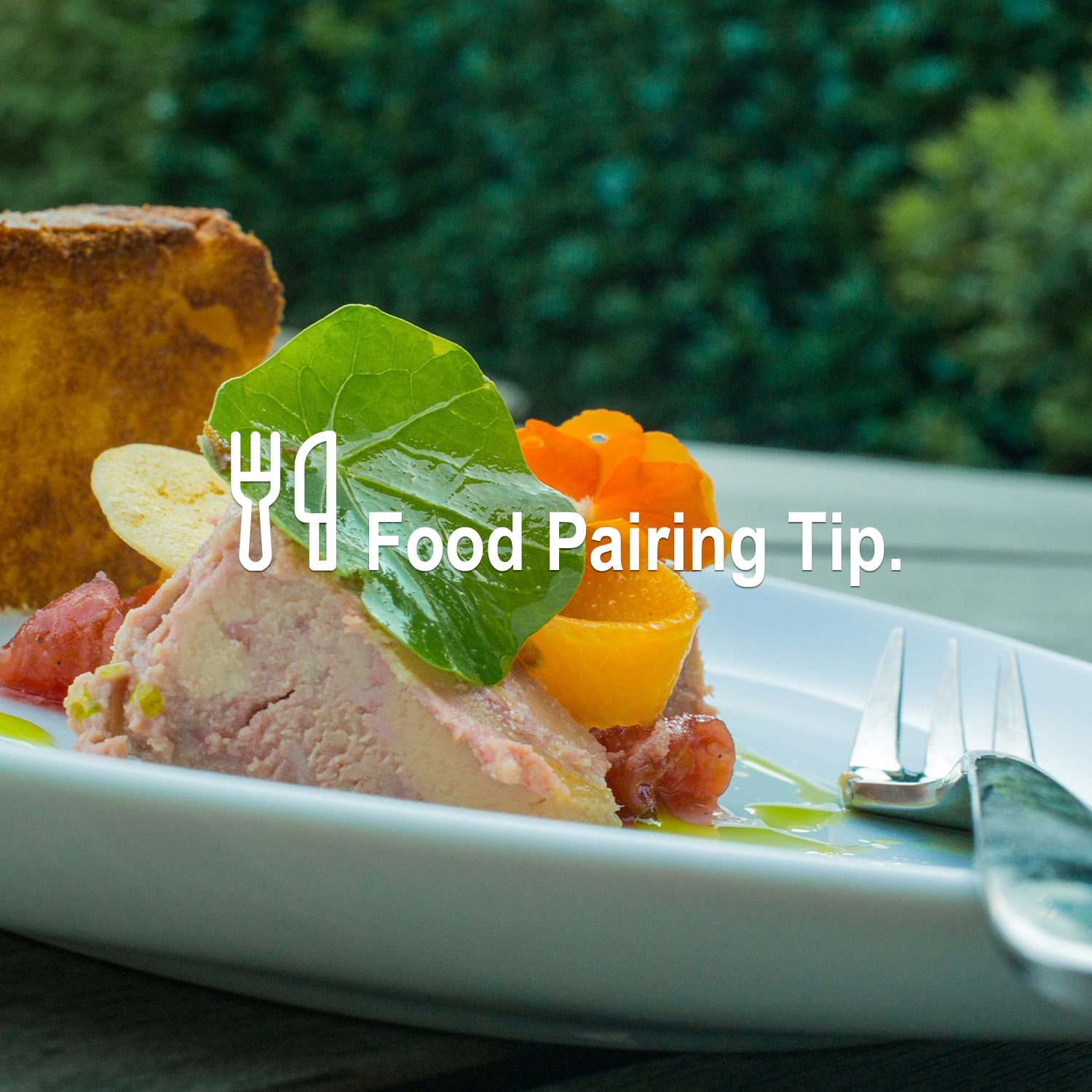 Passendes Essen zum wunderbaren Wein Passendes Essen zum wunderbaren Wein