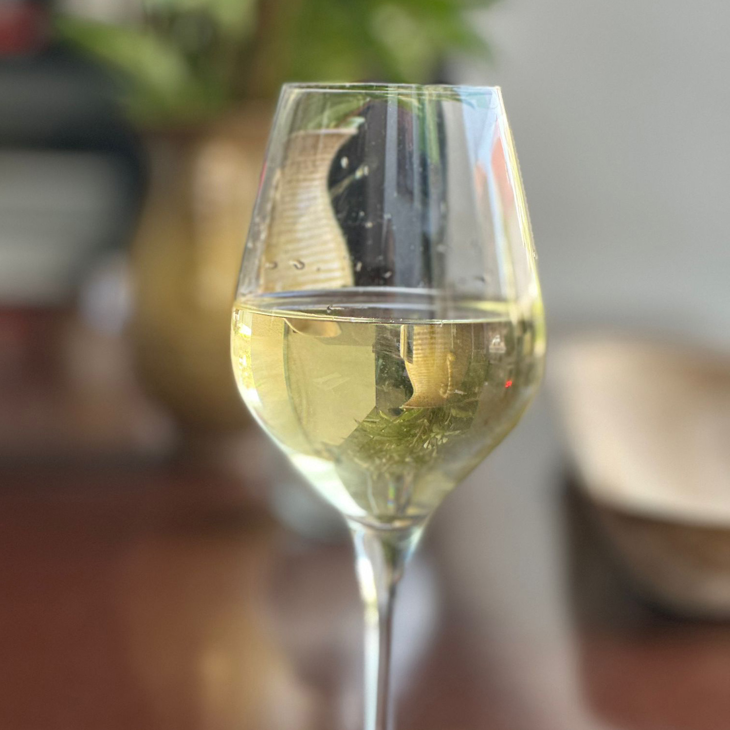 Genießen Sie diesen schmackhaften Weißwein Genießen Sie diesen schmackhaften Weißwein