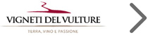 Vignetti del Vulture / Farnese Vini