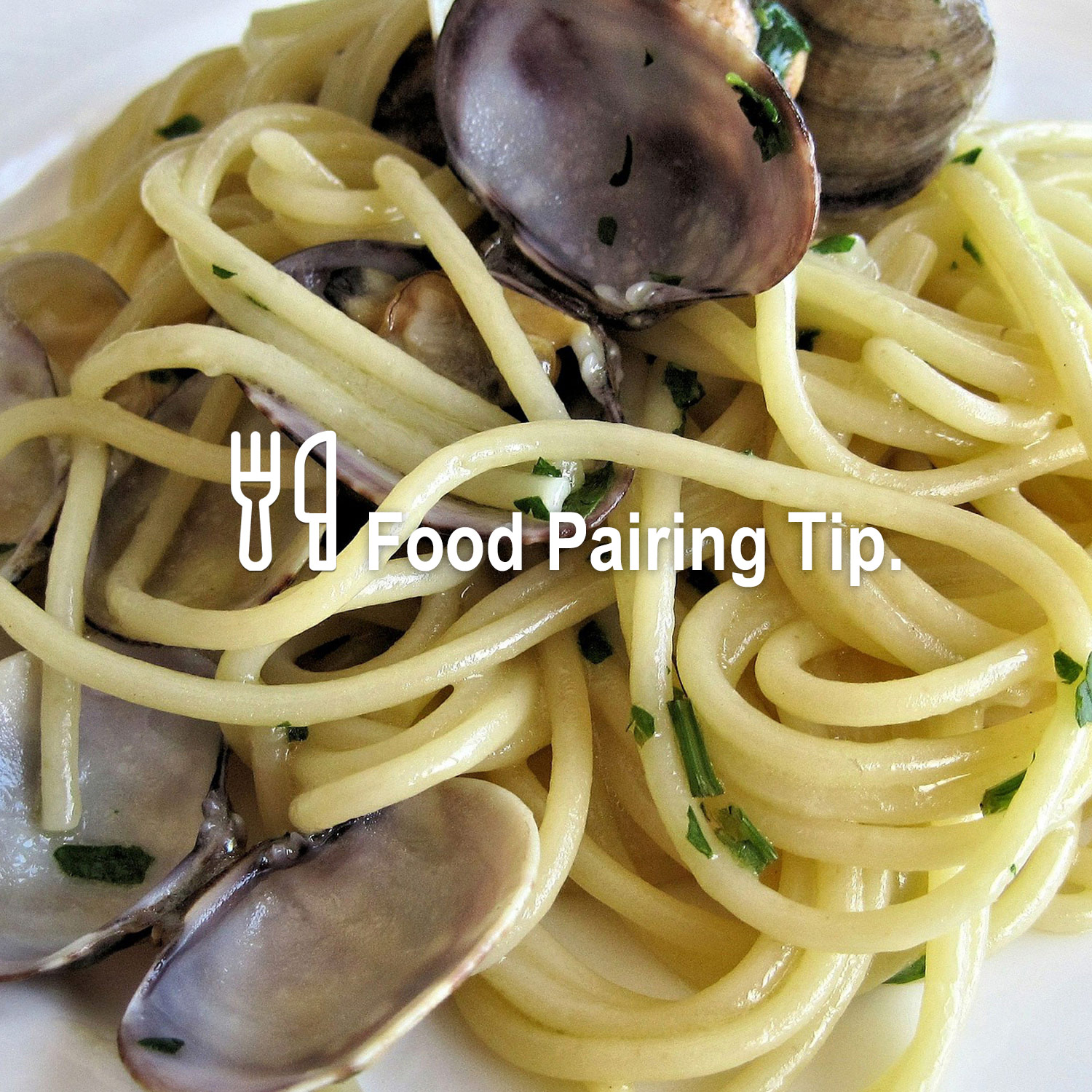 Passendes Essen zum köstlichen Wein Passendes Essen zum köstlichen Wein