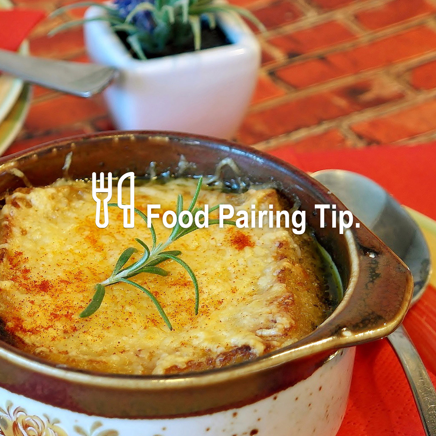 Passendes Essen zum köstlichen Wein Passendes Essen zum köstlichen Wein