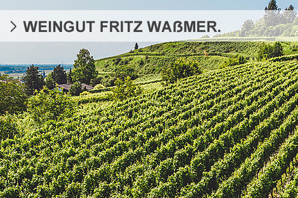 Weingut Fritz Waßmer | Baden | Deutschland