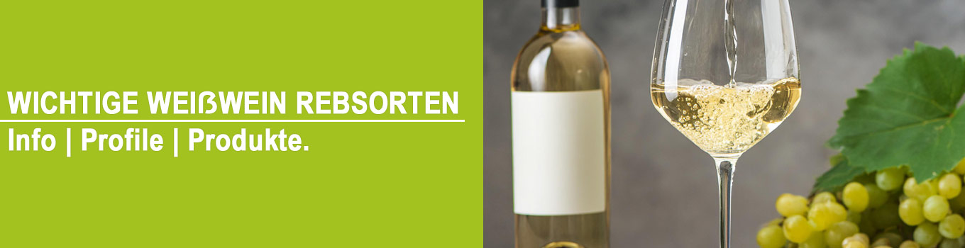 Weißwein Rebsorten Information | Geschmacksprofil Weißwein Rebsorten Information | Geschmacksprofil