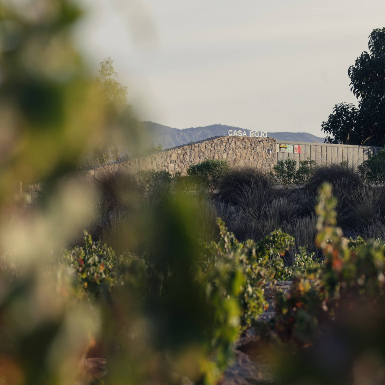 Casa Rojo 3er Rotwein-Paket