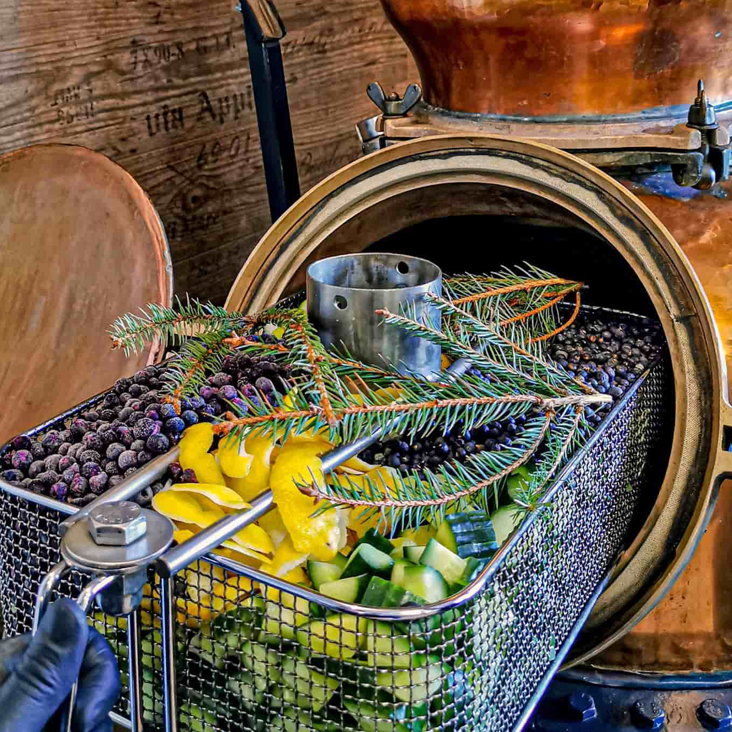 V - Sinne Schwarzwald Dry Gin V - Sinne Schwarzwald Dry Gin