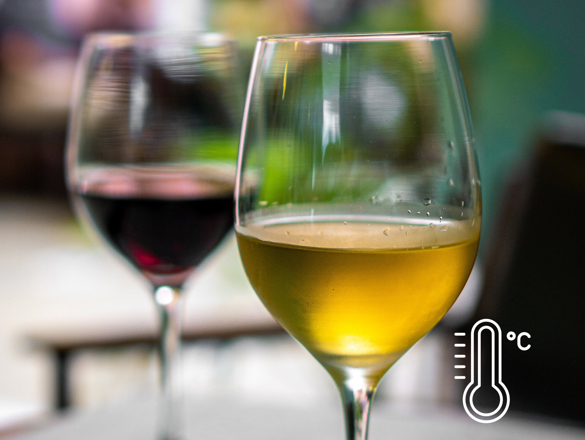 Die richtige Trinktemperatur von Weinen