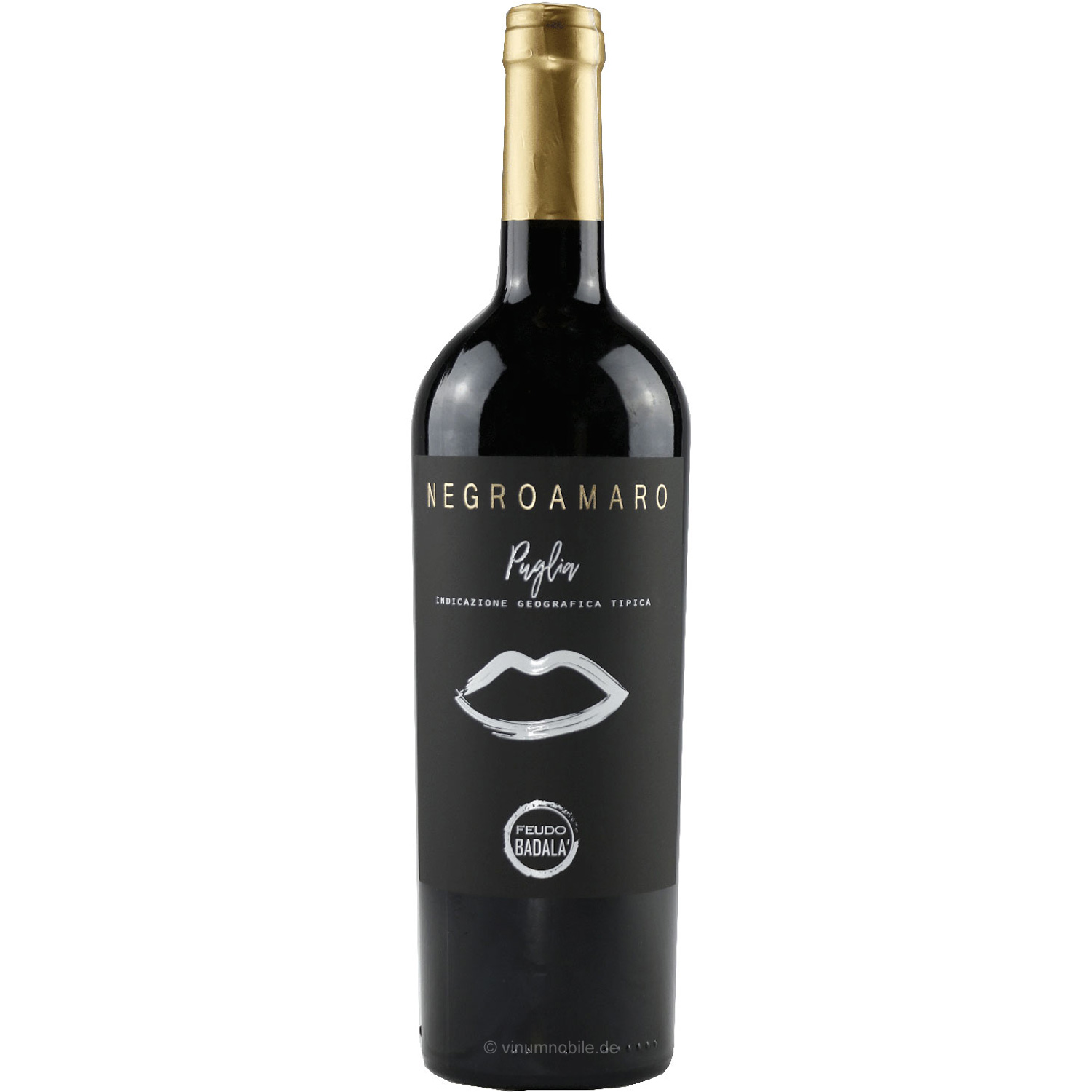 Italienischer Rotwein Negroamaro Puglia Feudo Badala 2019 Italienischer Rotwein Negroamaro Puglia Feudo Badala 2019