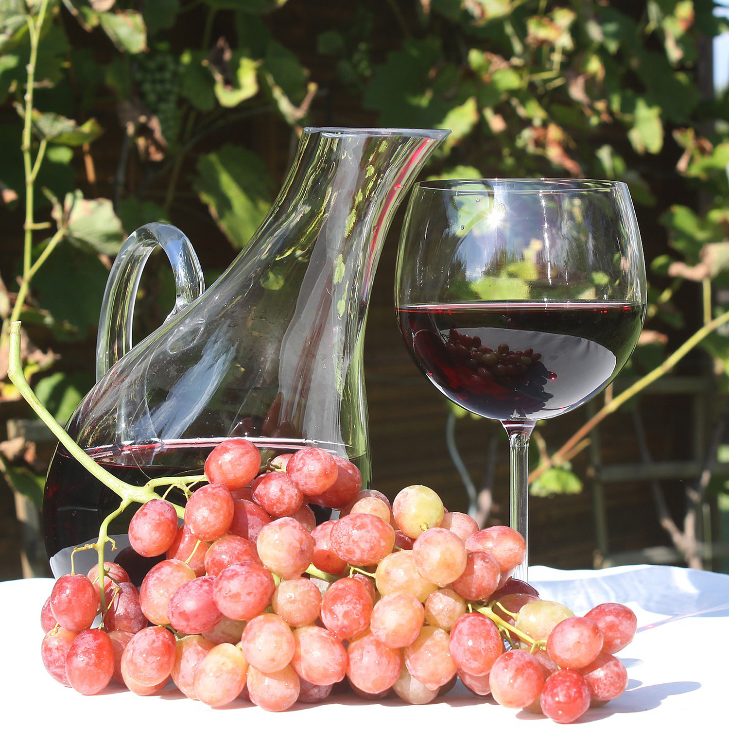 rotweine-Vinumnobile Rotweine