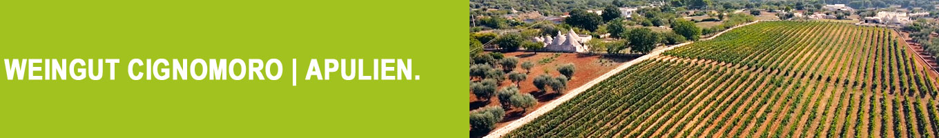 Weine von CignoMoro | Apulien | Italien Weine von CignoMoro | Apulien | Italien