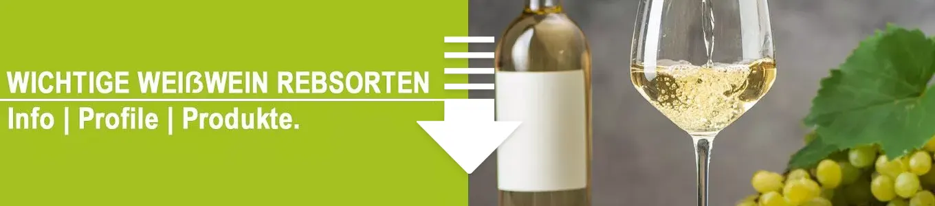Weißweine nach Rebsorte aufgelistet