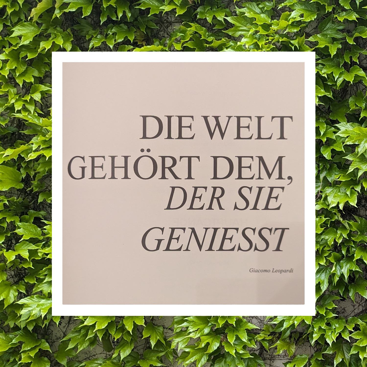Genieße vorzügliche und köstliche Weine Genieße vorzügliche und köstliche Weine