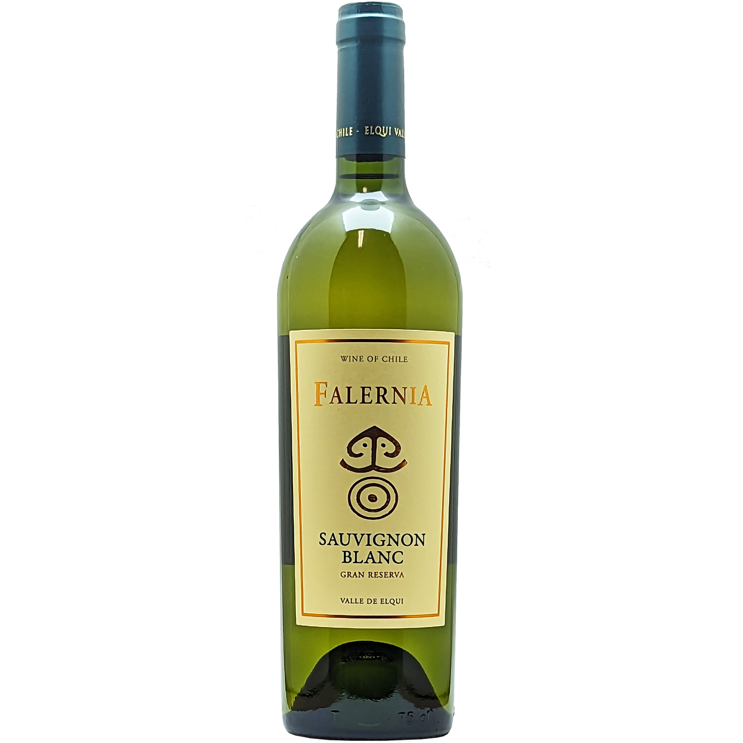 Falernia Sauvignon Blanc Gran Reserva 2023 Falernia Sauvignon Blanc Gran Reserva 2023