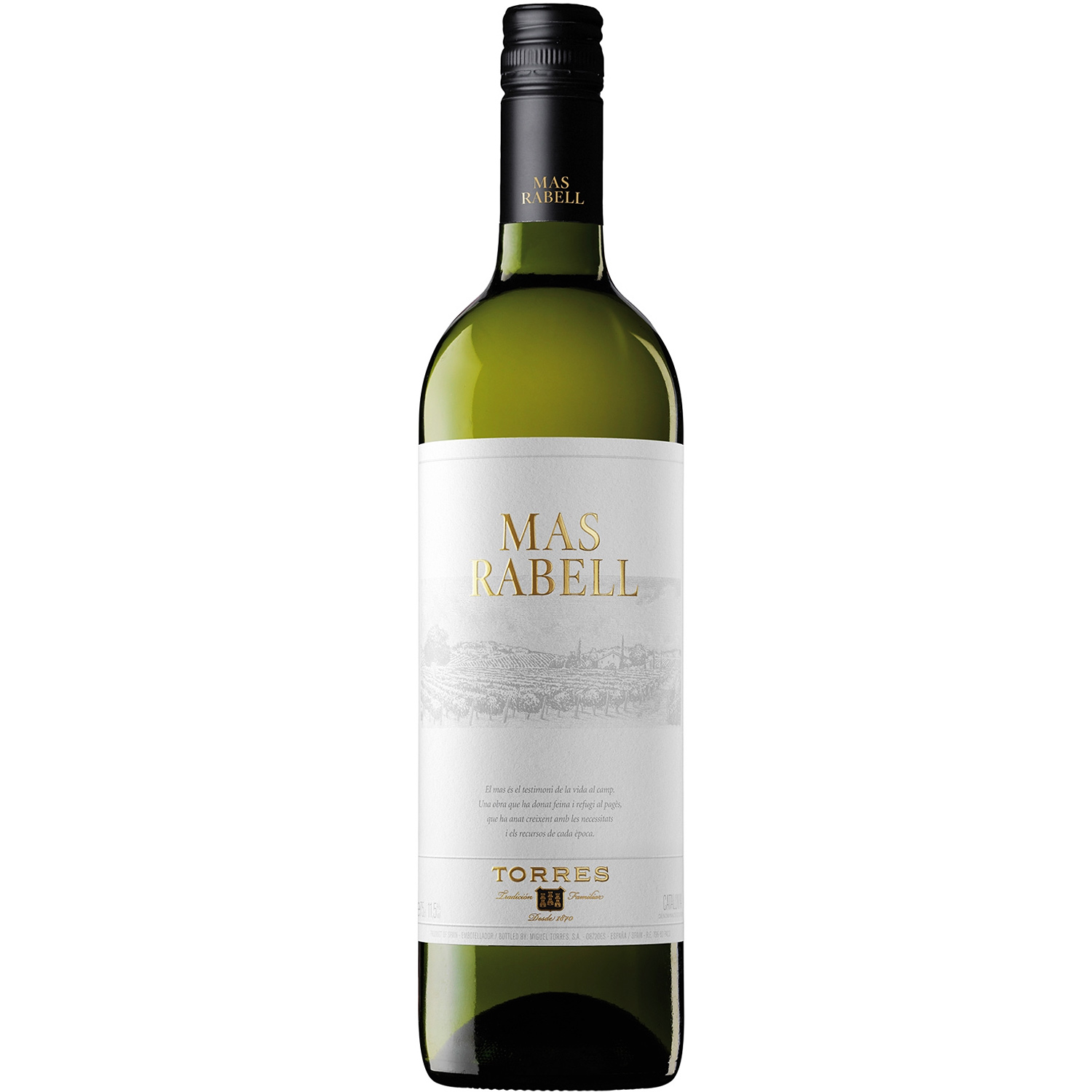 Torres Mas Rabell 2019 Torres Mas Rabell 2019
