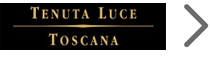 Tenuta Luce