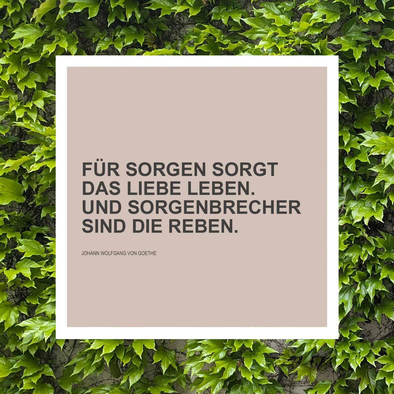 Genieße vorzügliche und köstliche Weine Genieße vorzügliche und köstliche Weine
