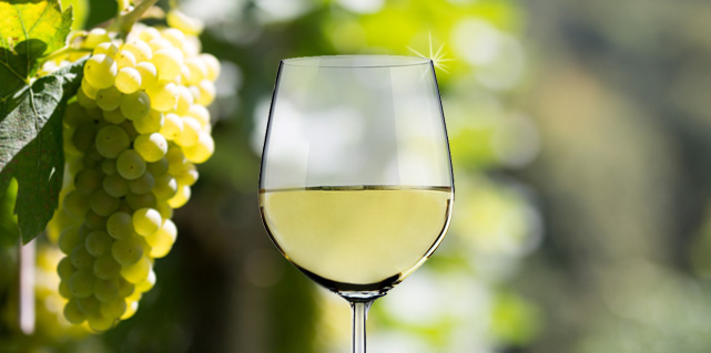 Weißweine bei Vinum Nobile.de Weißweine bei Vinum Nobile.de