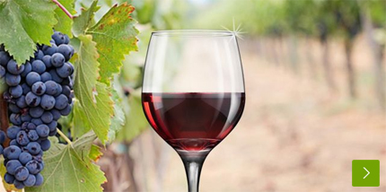 Beste Rotweine bei Vinum Nobile Beste Rotweine bei Vinum Nobile