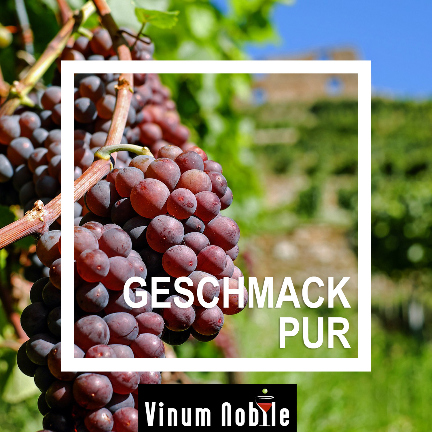 Enjoy the best moments Enjoy the best moments