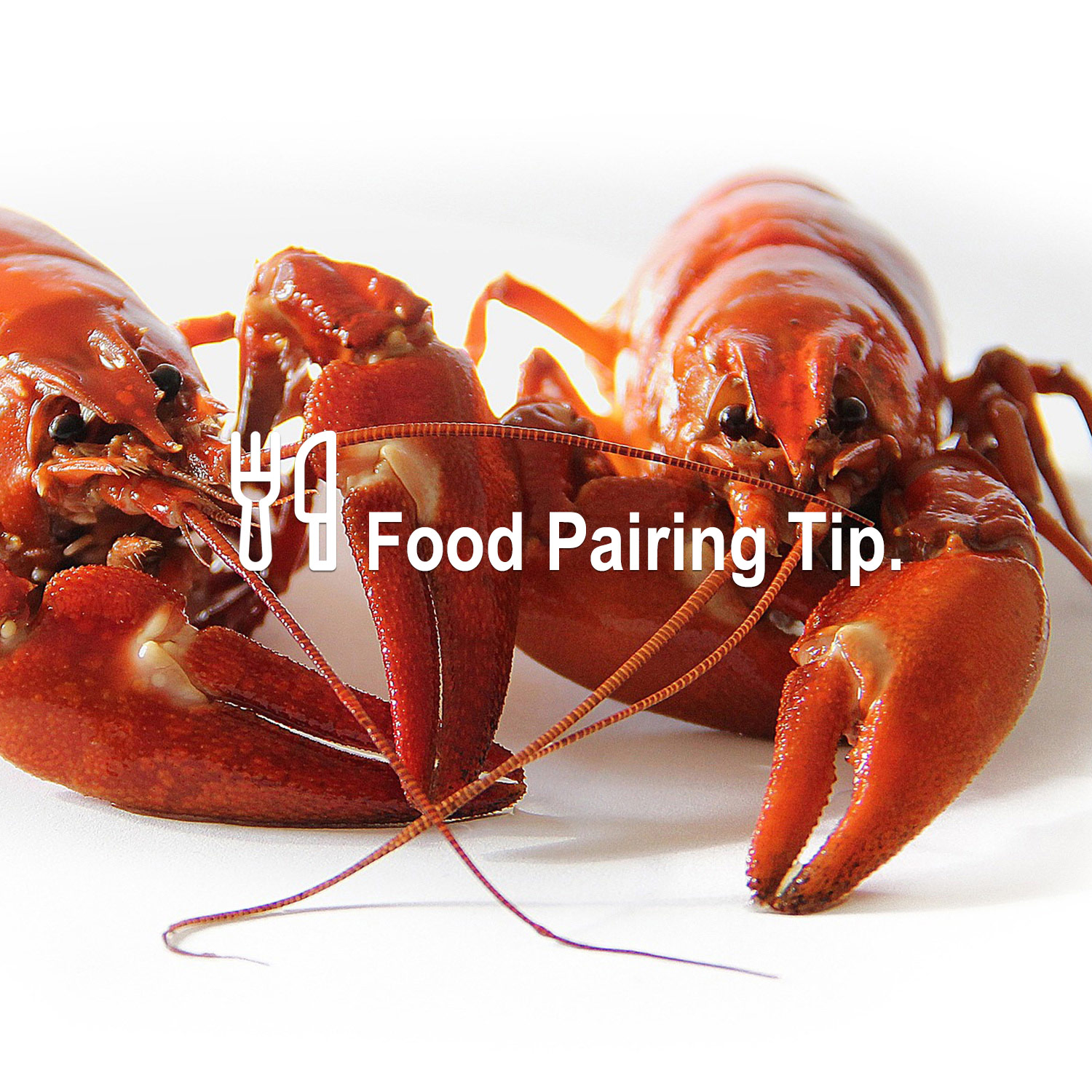 Food Pairing Tipp Food Pairing Tipp