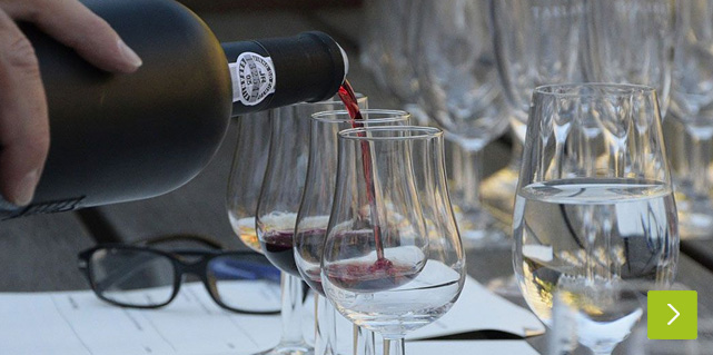 Weintasting bei Vinum Nobile Weintasting bei Vinum Nobile