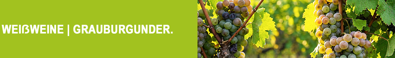 Grauburgunder (Pinot grigio, Pinot gris) Grauburgunder (Pinot grigio, Pinot gris)
