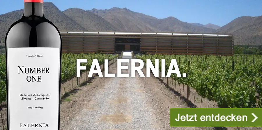 Weine vom Weingut Falernia | Chile.