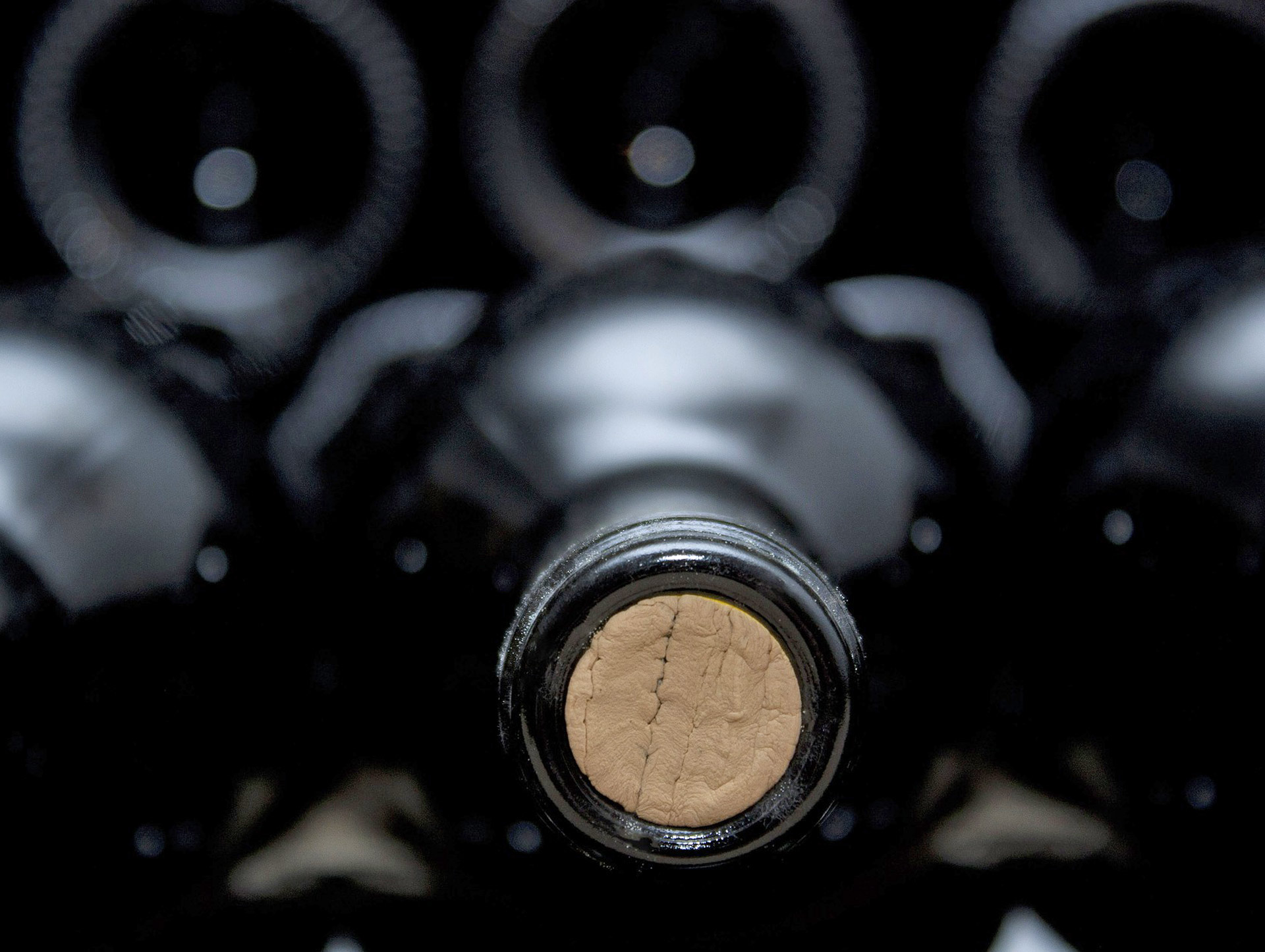 Blog_weinlagerung Blog_weinlagerung