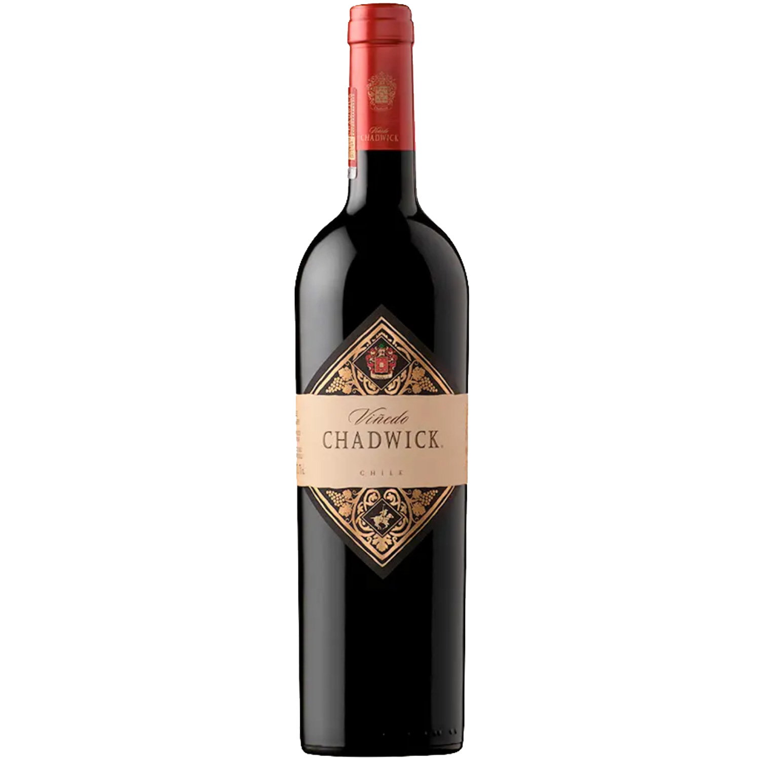 Viñedo Chadwick 2020 Viñedo Chadwick 2020