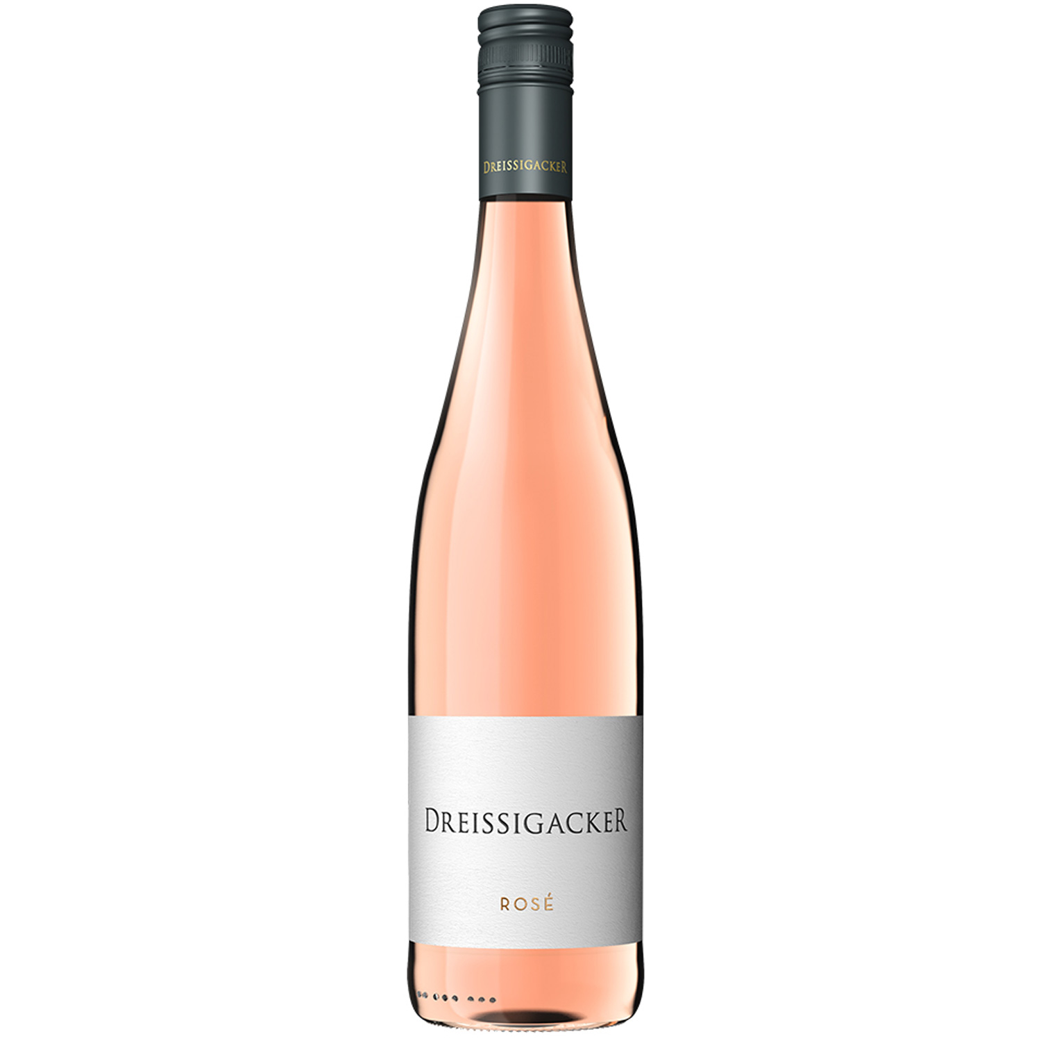 Dreissigacker Rose 2024 Dreissigacker Rose 2024