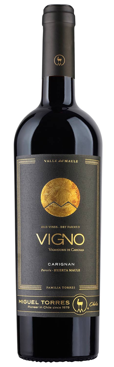 Vigno Carignan 2017 Vigno Carignan 2017