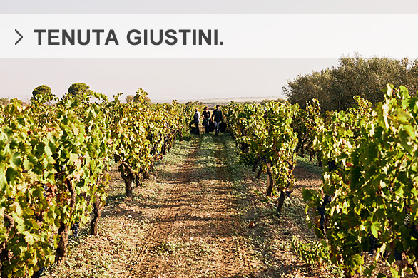 Giustini di Papadopoli Salvatore | Apulia | Italia Giustini di Papadopoli Salvatore | Apulia | Italia