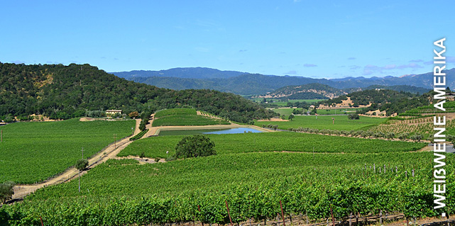 Weißweine aus Kalifornien